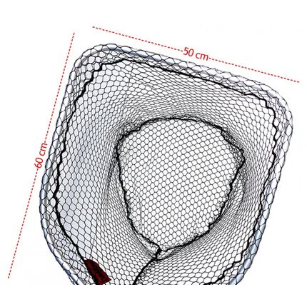 testa camor 50x60 mm. 20