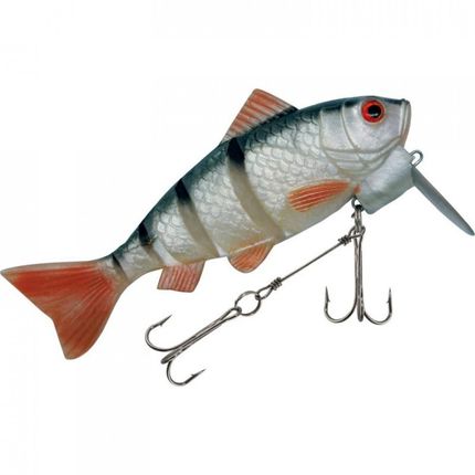 rapture dancer perch roach