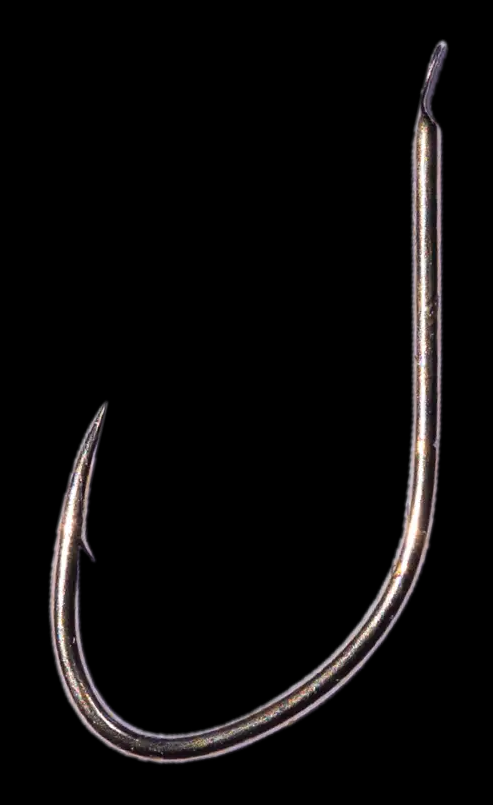 B560 n.10