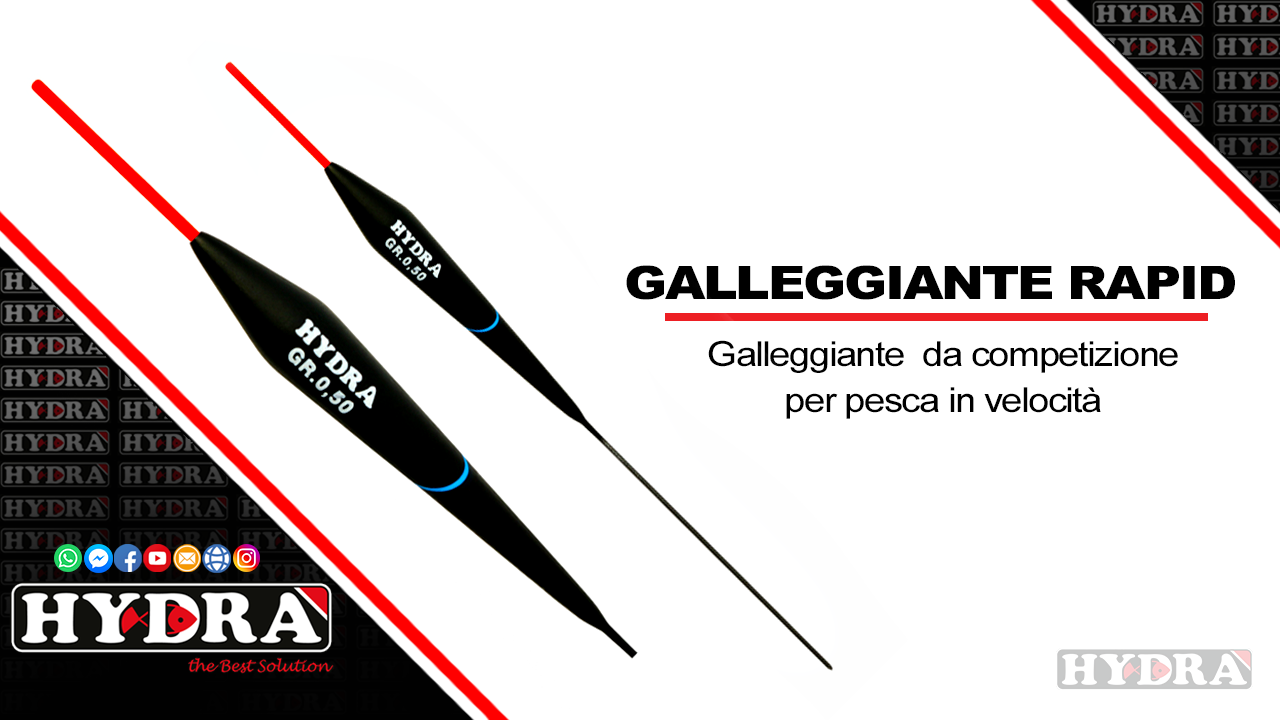 Gall RAPID gr. 0.10