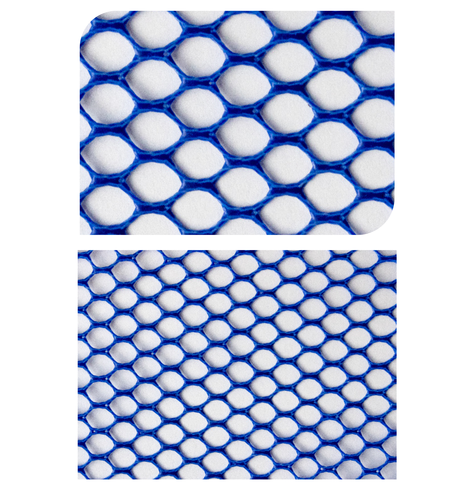 GUMMA CARP 056/020 (45x40cm)