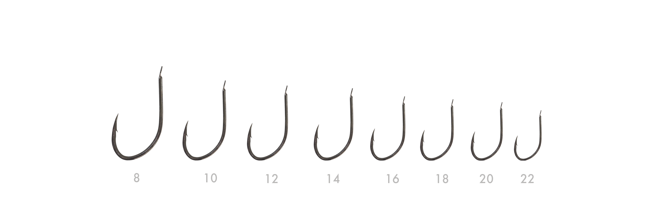 SERIE 157 N. 08 (BN)