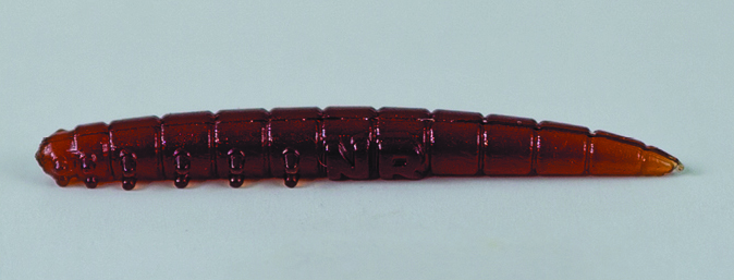 KAIMAN 5 cm - 1.9