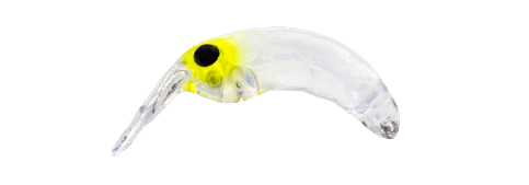 MOTH 28 SK (Ghost Chartreuse)