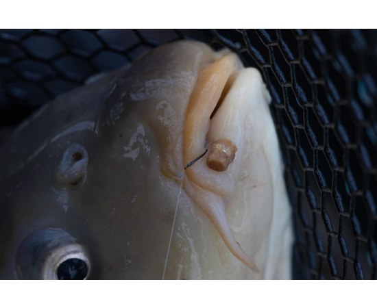 Hookable Bait Bands - Small