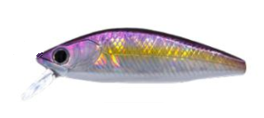 YUME 50S (Purple Bait)
