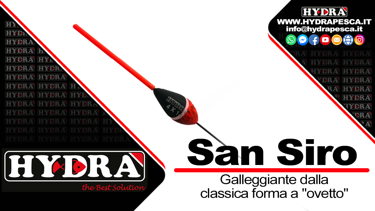 Gall. SAN SIRO 4X12 0.20 gr