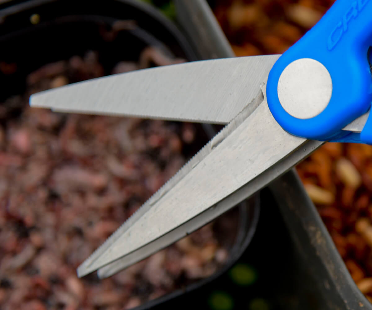 DOUBLE BLADE WORMCHOPPER