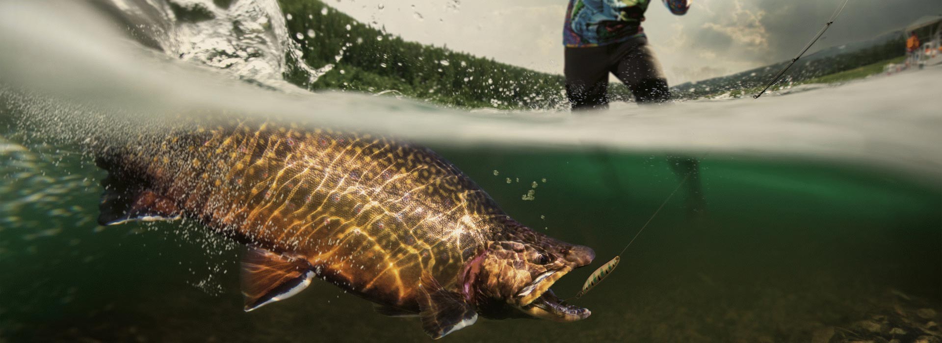 Tutto quello di cui hai bisogno lo trovi qui