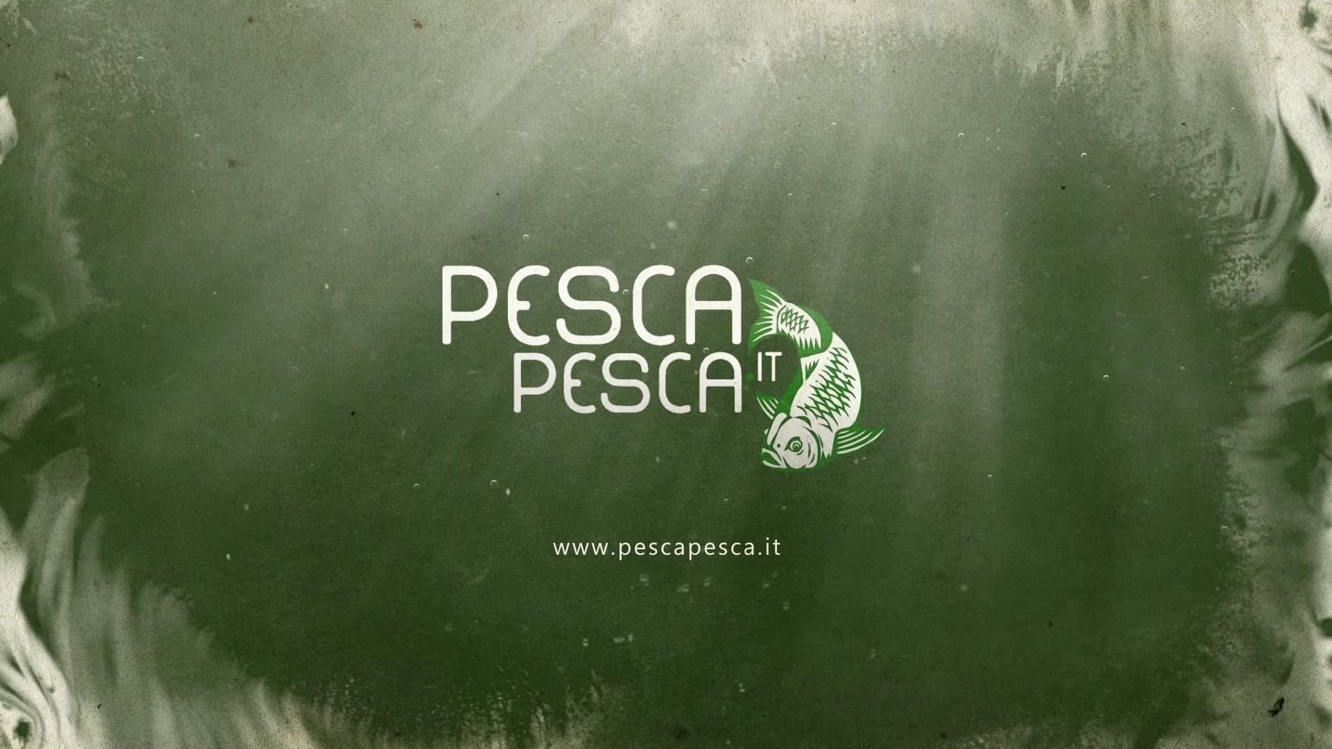 container 56 ita